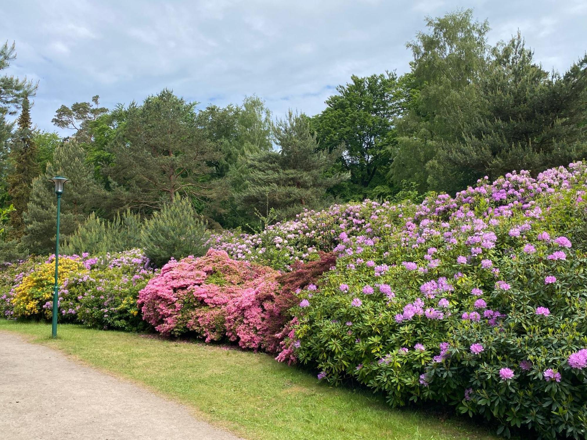 Lieblingsplatz im Küstenwald Graal-Müritz Gelbensande Exterior foto